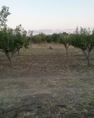 TERRENO AGRICOLO CON POTENZIALITÀ EDIFICATORIA