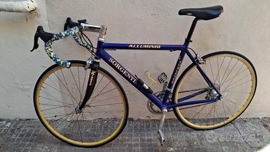 Bici da corsa professionale