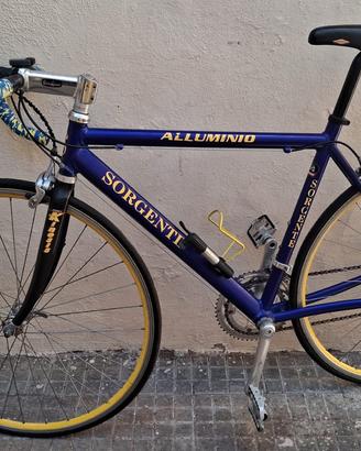 Bici da corsa professionale