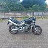 honda-hornet-600