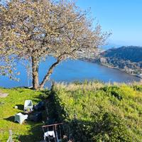 Pozzuoli panoramico suite arredata in villa