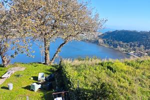 Pozzuoli panoramico suite arredata in villa