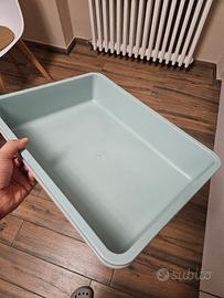 lettiera gatto usata