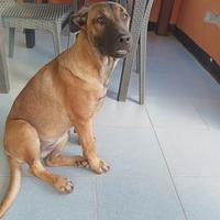 Kuba dal carattere solare