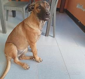 Kuba dal carattere solare