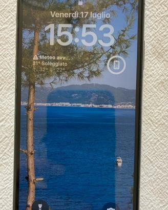 IPhone X -256GB usato