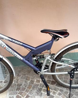 Bicicletta Mountain bike