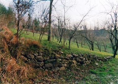 Terreno Agricolo 2850 mq Fronte Strada