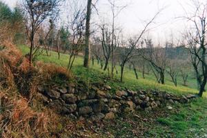 Terreno Agricolo 2850 mq Fronte Strada