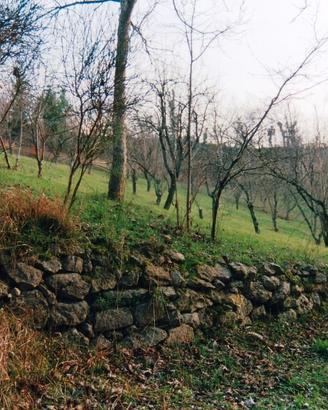 Terreno Agricolo 2850 mq Fronte Strada