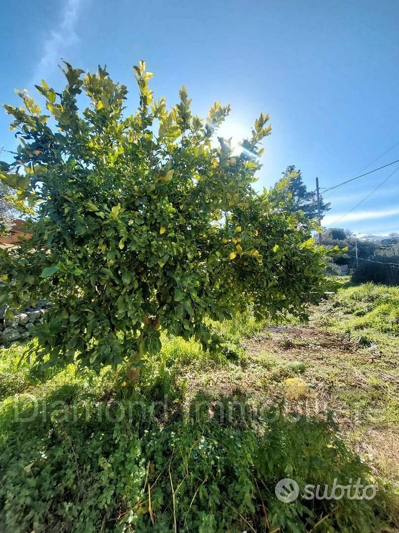 Casa di campagna con terreno a Verzella - Altro