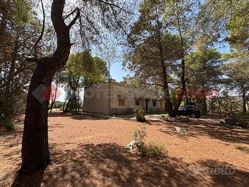 Villa singola Sava [1212VRG]