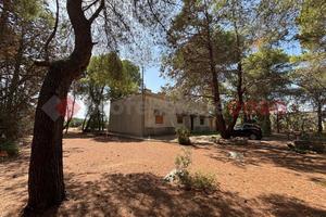 Villa singola Sava [1212VRG]