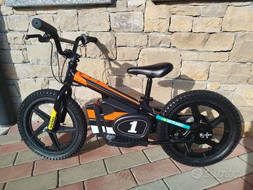 mini ebike 