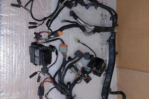 impianto elettrico buell xb9 xb12 firebolt xbr