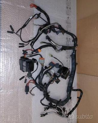 impianto elettrico buell xb9 xb12 firebolt xbr