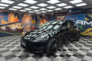 Tesla Model Y AWD Performance (231)