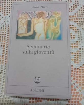 Aldo Busi - Seminario sulla gioventù - Adelphi