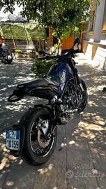 Benelli leoncino 500 trail
