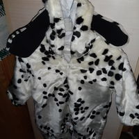 Costume Carnevale DALMATA