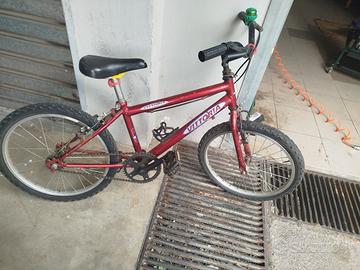 bici vittoria 