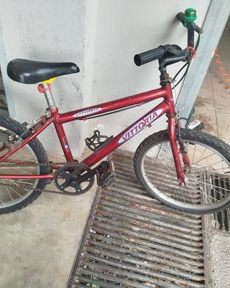 bici vittoria 