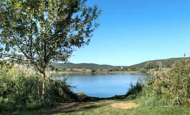 Rif.TATR| terreno agricolo gavorrano