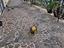 Immagine 23