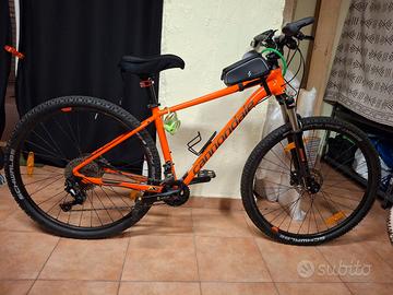 Bicicletta Cannondale 29 uomo