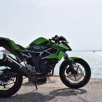 Kawasaki Z 125 - 2019