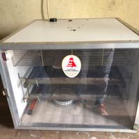 Incubatrice Maino Enrico