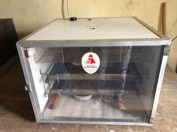 Incubatrice Maino Enrico