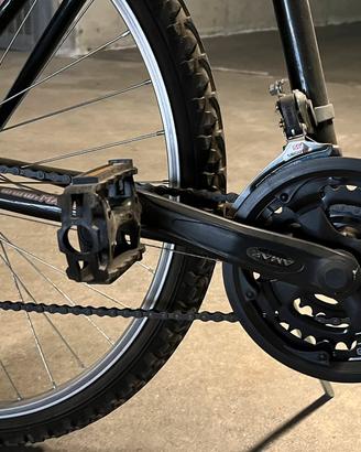 Bicicletta mountain bike