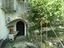 Immagine 11