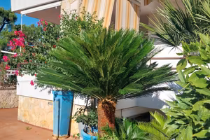 Villa su3 livelli vista mare
