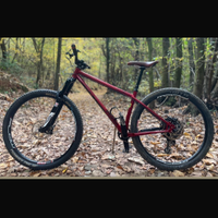Stanton hardtail 29