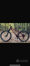 Stanton hardtail 29