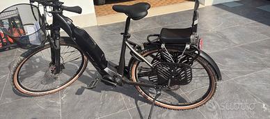 E-BIKE FLYER DONNA