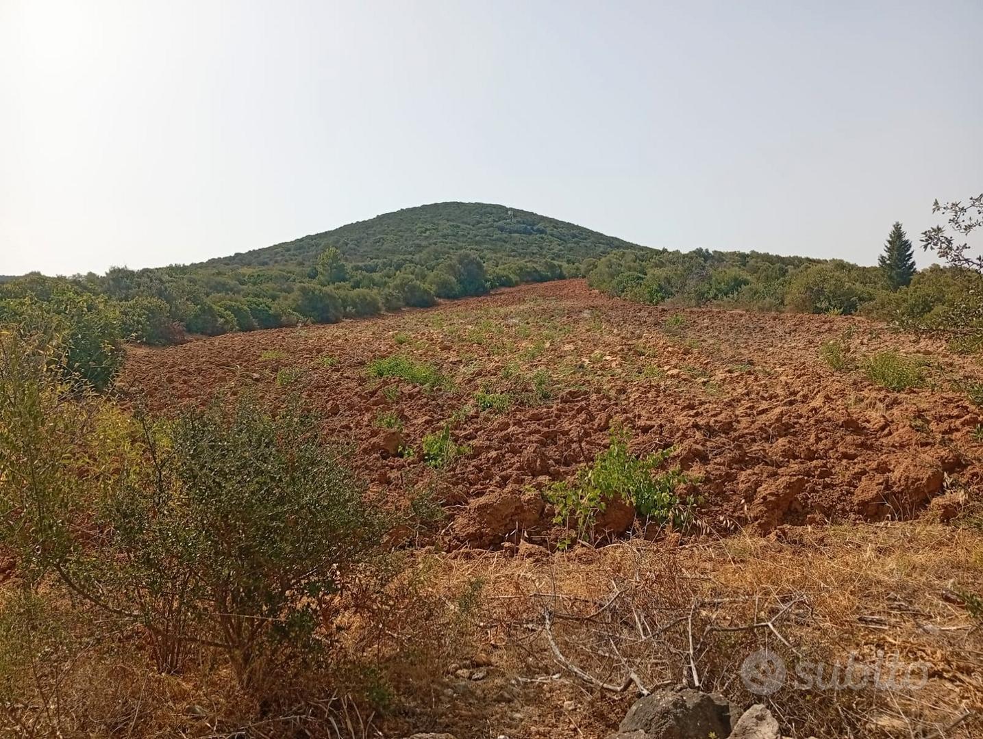 Terreno agricolo giba loc su solu - Vista 3