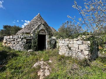 CASA DI CORTE A CEGLIE MESSAPICA