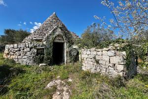 CASA DI CORTE A CEGLIE MESSAPICA