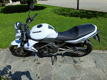 Kawasaki er-6n
