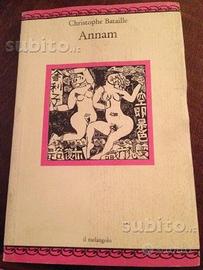Annam di Bataille romanzo