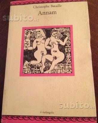 Annam di Bataille romanzo
