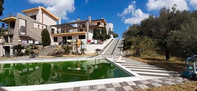 R.G. 243/2024 Barcellona P.G