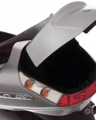 Cerniere portaoggetti posteriore Piaggio X8/Xevo