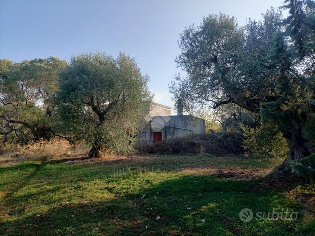 TER. AGRICOLO A MOLA DI BARI