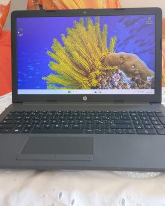 HP 255 G7 8 RAM 256 SSD