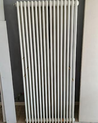 Nr 2 radiatori Verticali Tubolari in Acciaio