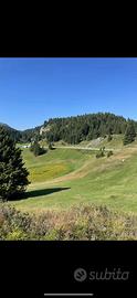 Baita rudere chalet rustico